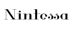 Nintessa - logo